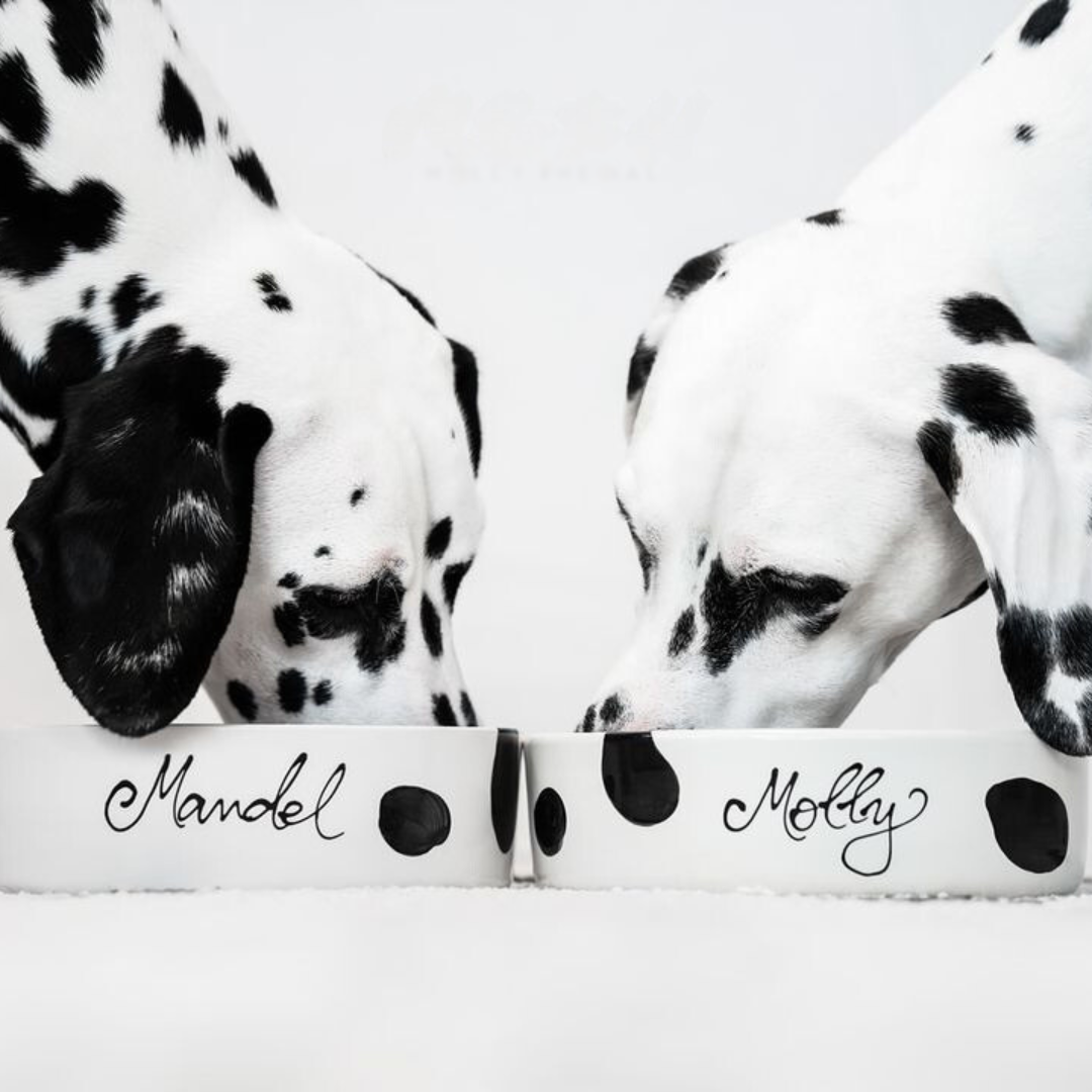 LASSIE - Personalized (Volume: 1000ml)