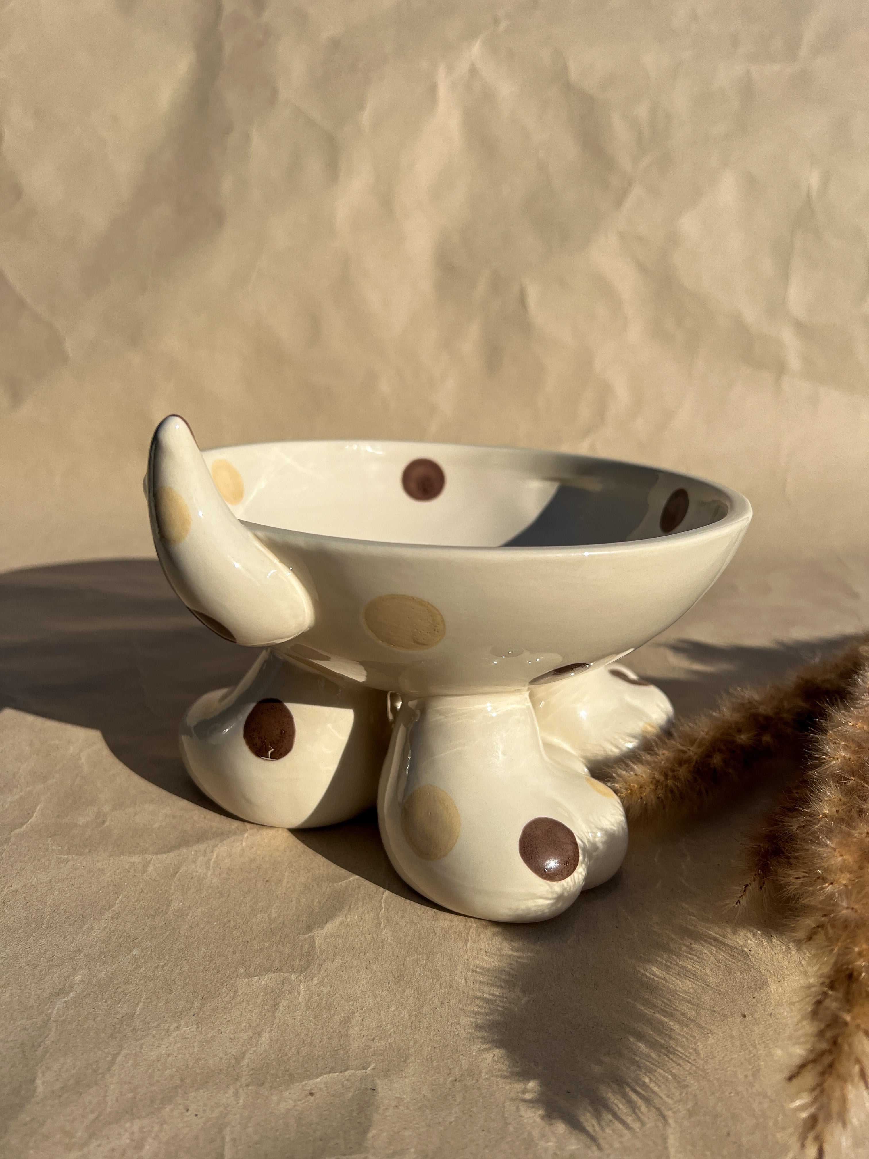 Raised Paws - Brown Dots